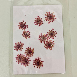 蕾絲花乾花押花_紅色 .jpeg