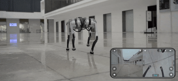 71e7760af5dc44249ec2e8bb881373b4_700x320.gif