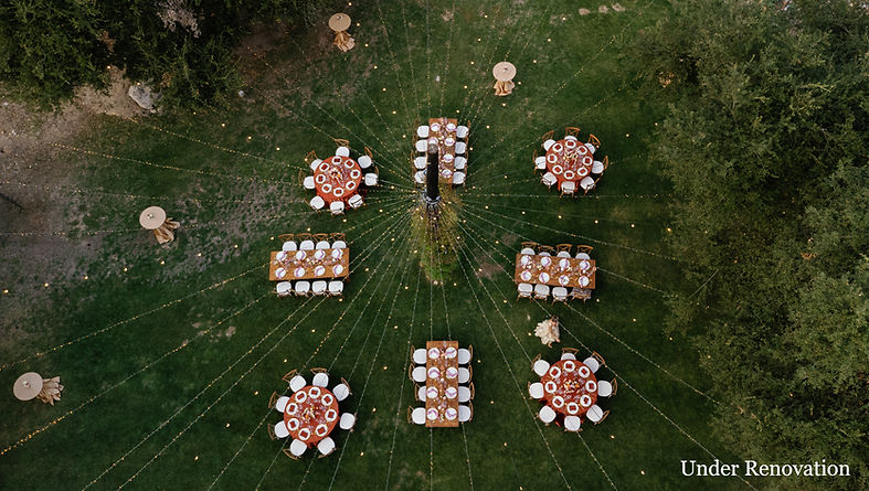 EnchantedHills-anitafriedrich-43_edited.