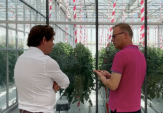 Benjamin Vermeer cultivation consultancy