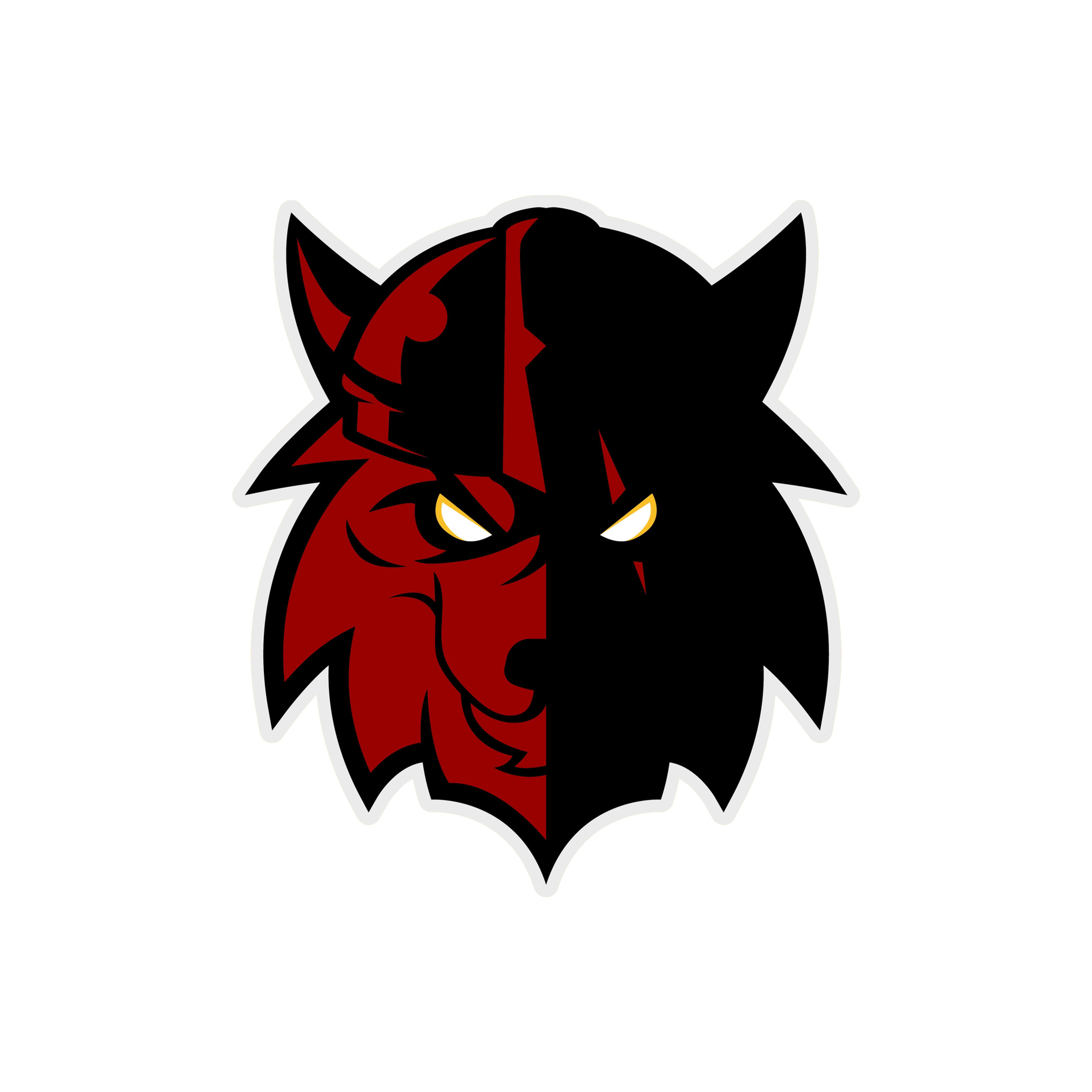 War Dogs Summer OTAs - JUNE & JULY