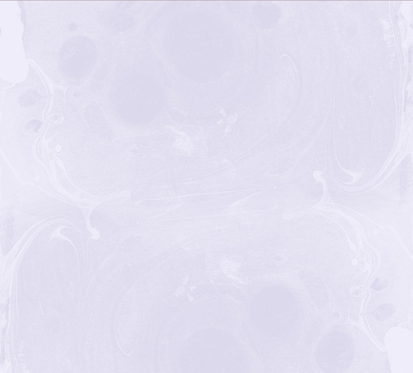 PurpleThemeLight.jpg