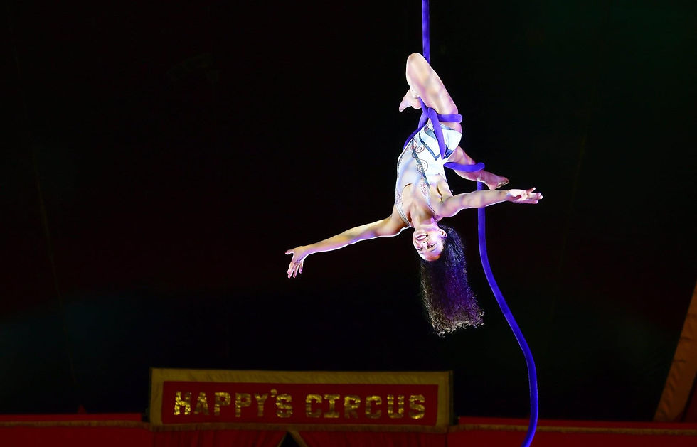 Happy's Circus (2022)