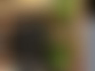 新年あけましておめでとうございます。