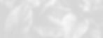 home-banner.jpg