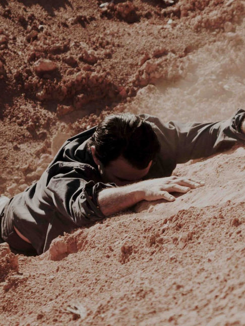 As poéticas do Brasil no Cinema Ambiental