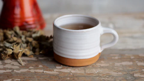 Organic Greek Mountain Tea Health Benefits