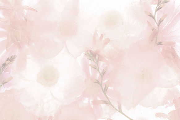pink-blooming-anemone-flower-background.jpg