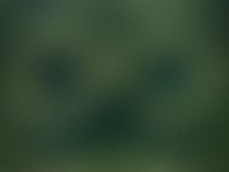 The Power of Small Steps