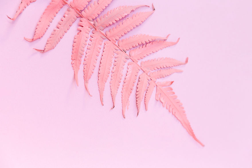 leaf.jpg