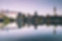 dan-freeman-hIKVSVKH7No-unsplash (1).jpg