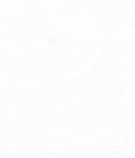 Pattern4.png
