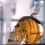 Thumbnail: Decanter Skull For Whiskey