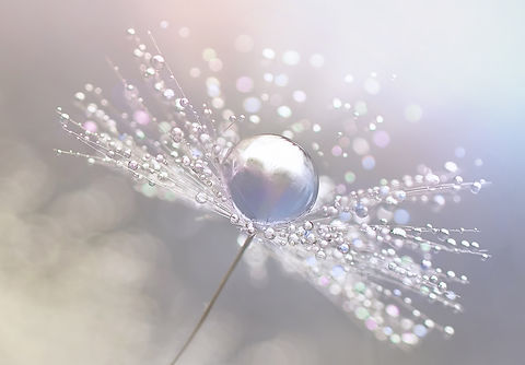 AdobeStock_123550042.jpeg