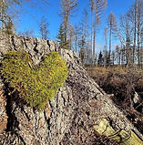 IMG-20260613-WA0006.jpg