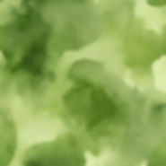 olive green watercolor.jpg