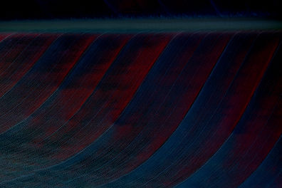 Abstract C_edited_edited_edited.jpg