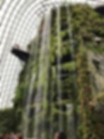 Gardens By the Bay Interior, 2018