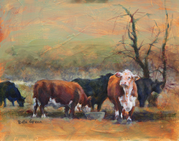 Cattle in Winter Pasture.JPG
