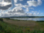 IMG_0226 optimized.jpeg