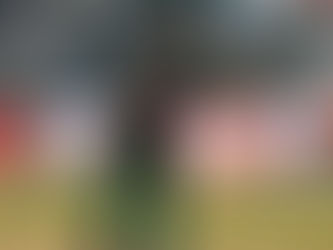 Strategic Brilliance: 4RABET Cricket Betting Demystified