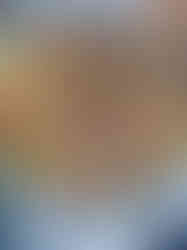 وجبة من المنيو