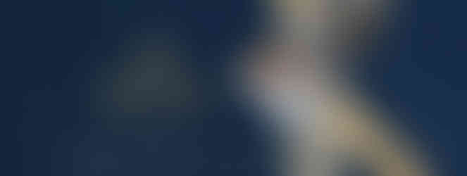 لوجو الفندق