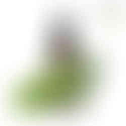 صيدلية هشام المنيري النزهة