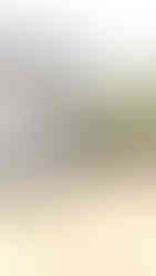 Mediterraneo Trading & Mediterraneo Industries