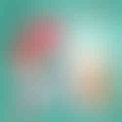 صيدليات مصر - فرع التجمع الخامس