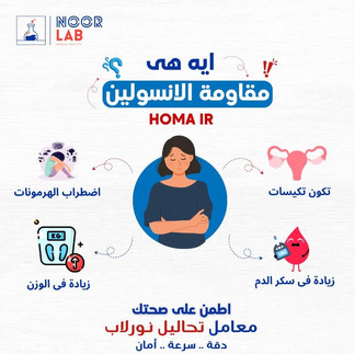 نور لاب حدائق اكتوبر