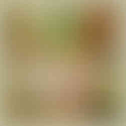 صيدلية د سارة جاد مدينة نصر