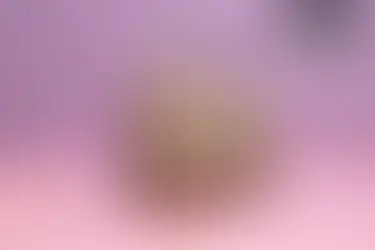 شنطة حريمي