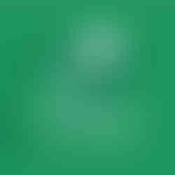 مكتب بريد التجمع الخامس القاهرة الجديدة