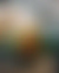 وجبة من المطعم