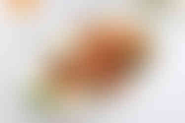 عالم قدورة للمأكولات البحرية