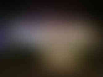 واجهة المطعم من الخارج