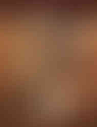 وجبة من المنيو