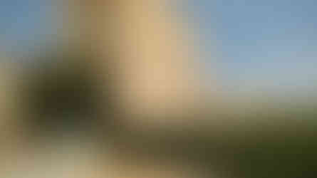 سنتر الصفوة التعليمي حدائق اكتوبر