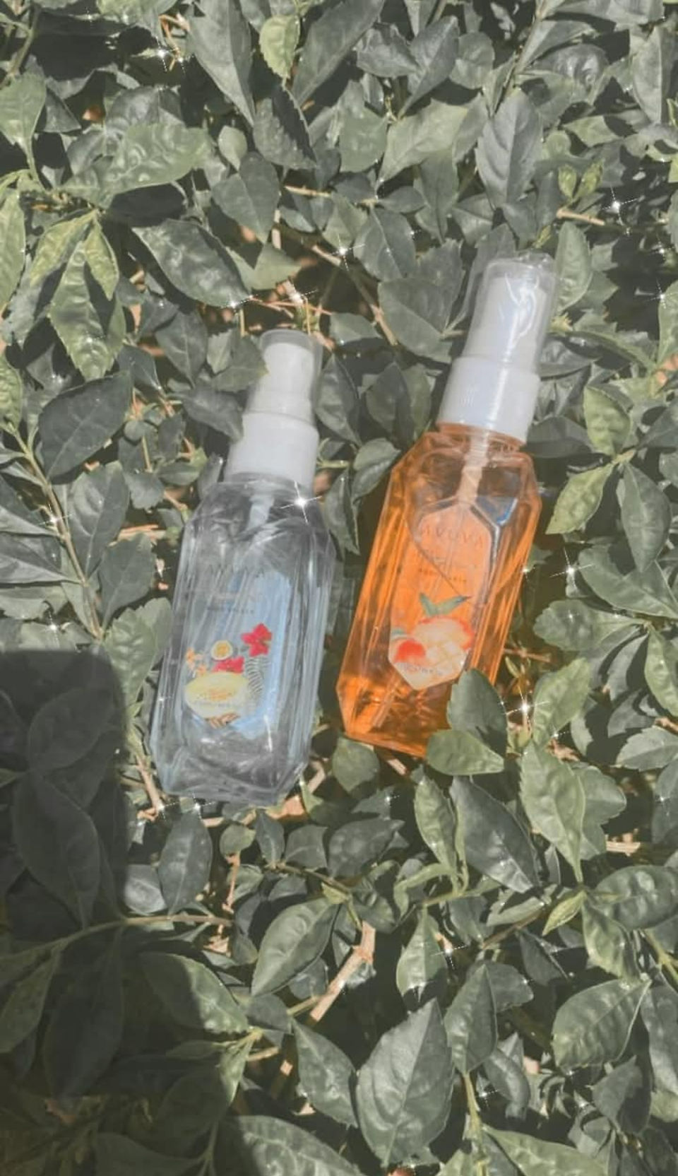 صيدلية المصري النزهة