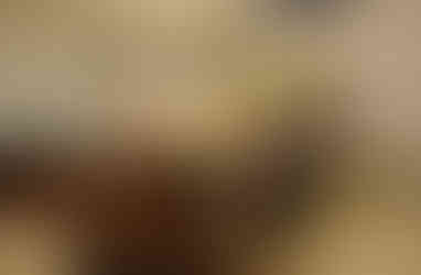 مطعم الفندق