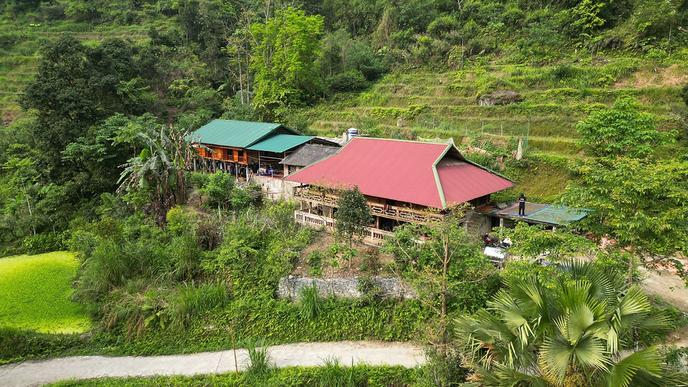 Bikki's Jungle Homestay