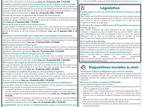 La Revue Synanto Avocats - 21 octobre 2025