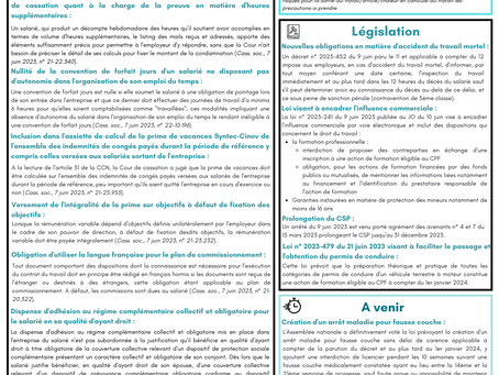La Revue Synanto Avocats - 26 juin 2023