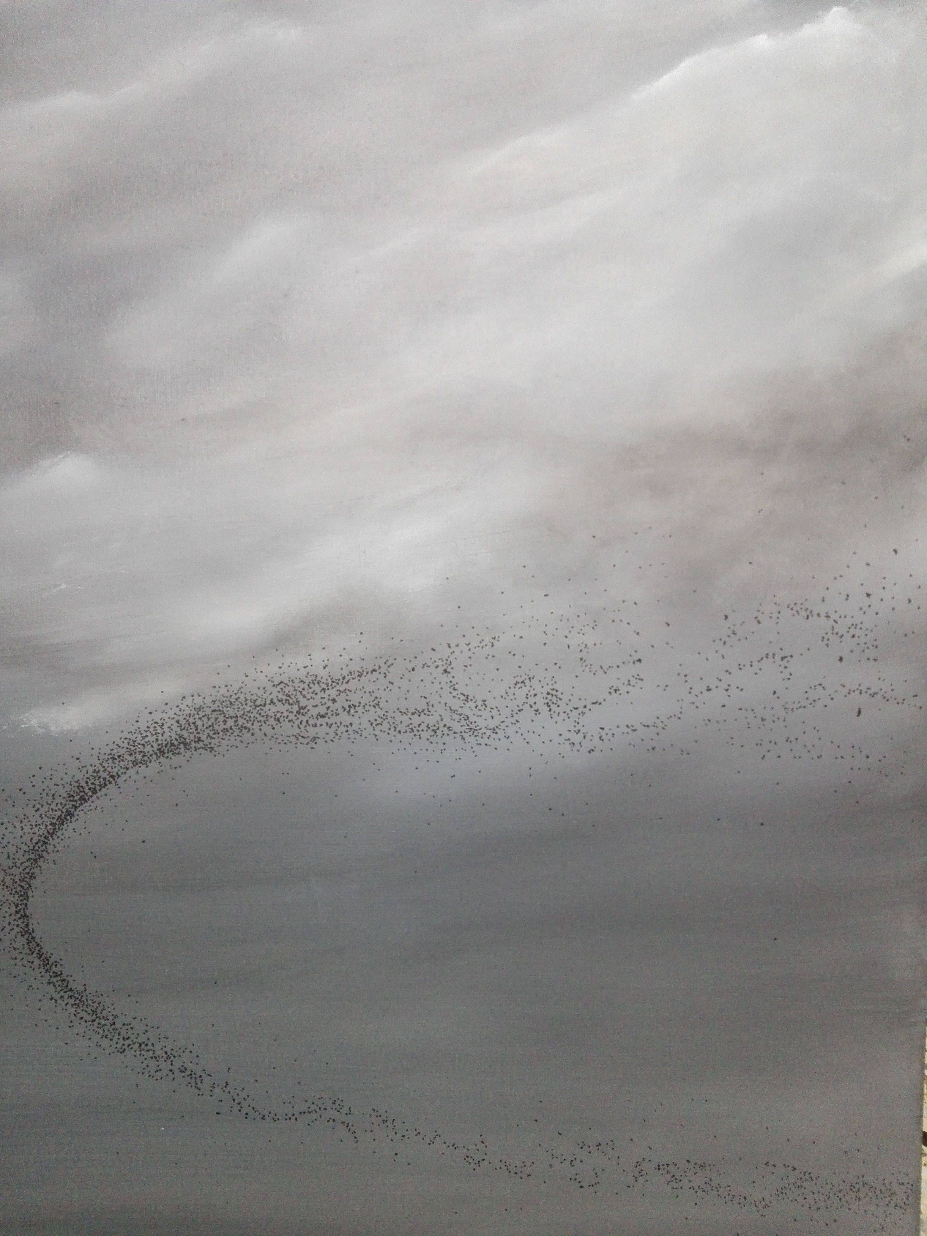 Murmuration 1 - Hadrien De Corneillan