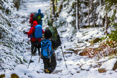 Essential Hiking Gear for Kids