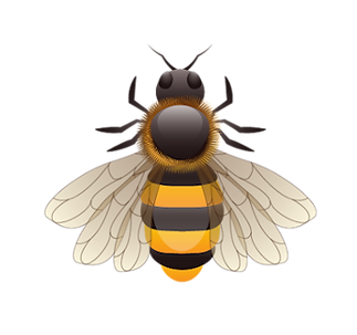 beeswax australia