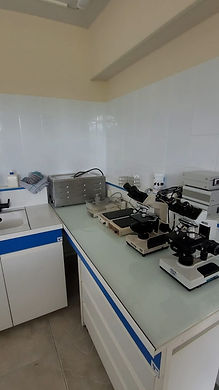 WhatsApp Image 2026-02-19 at 15.59.16.jpeg