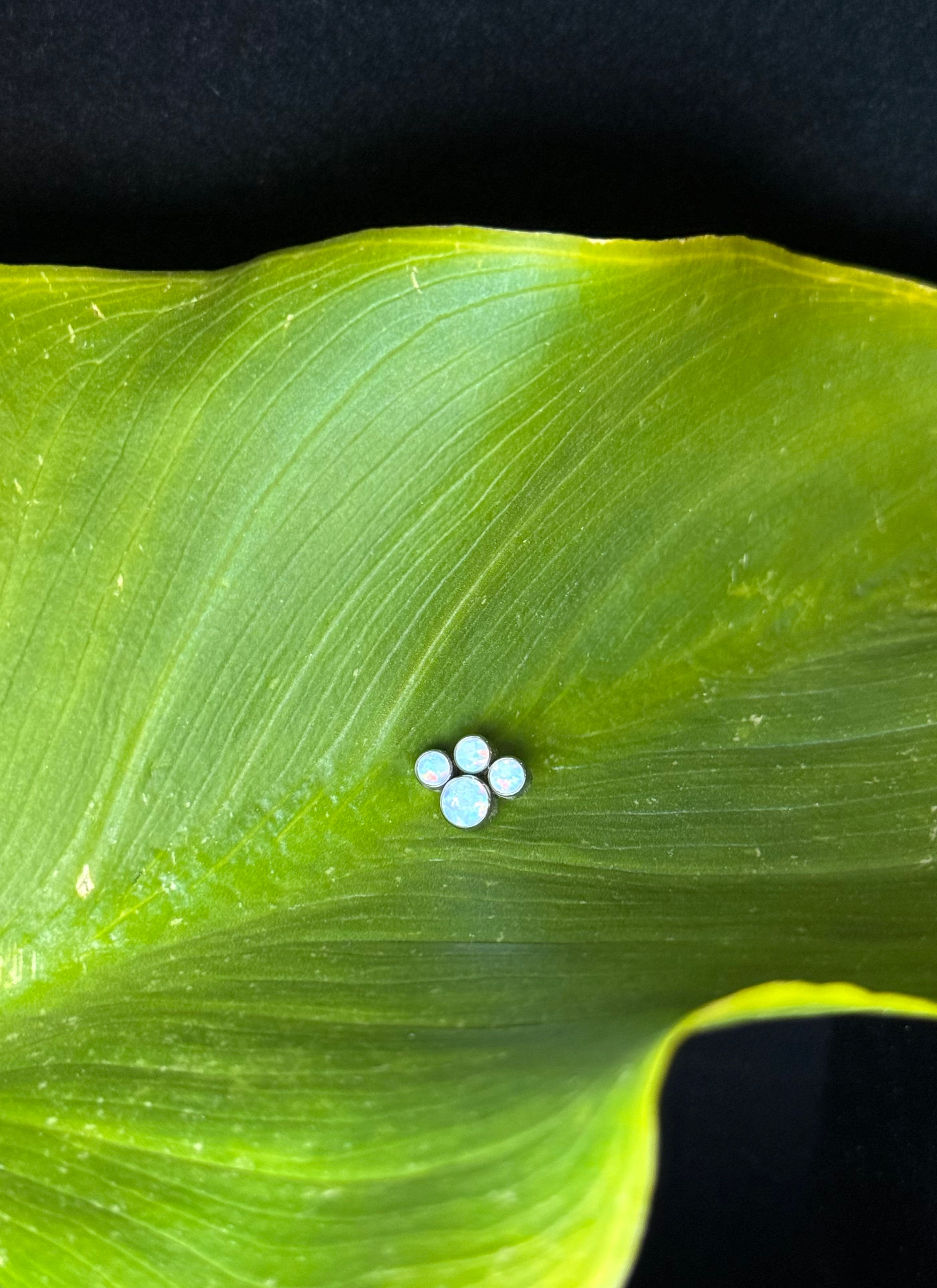 Joyería piercing P25