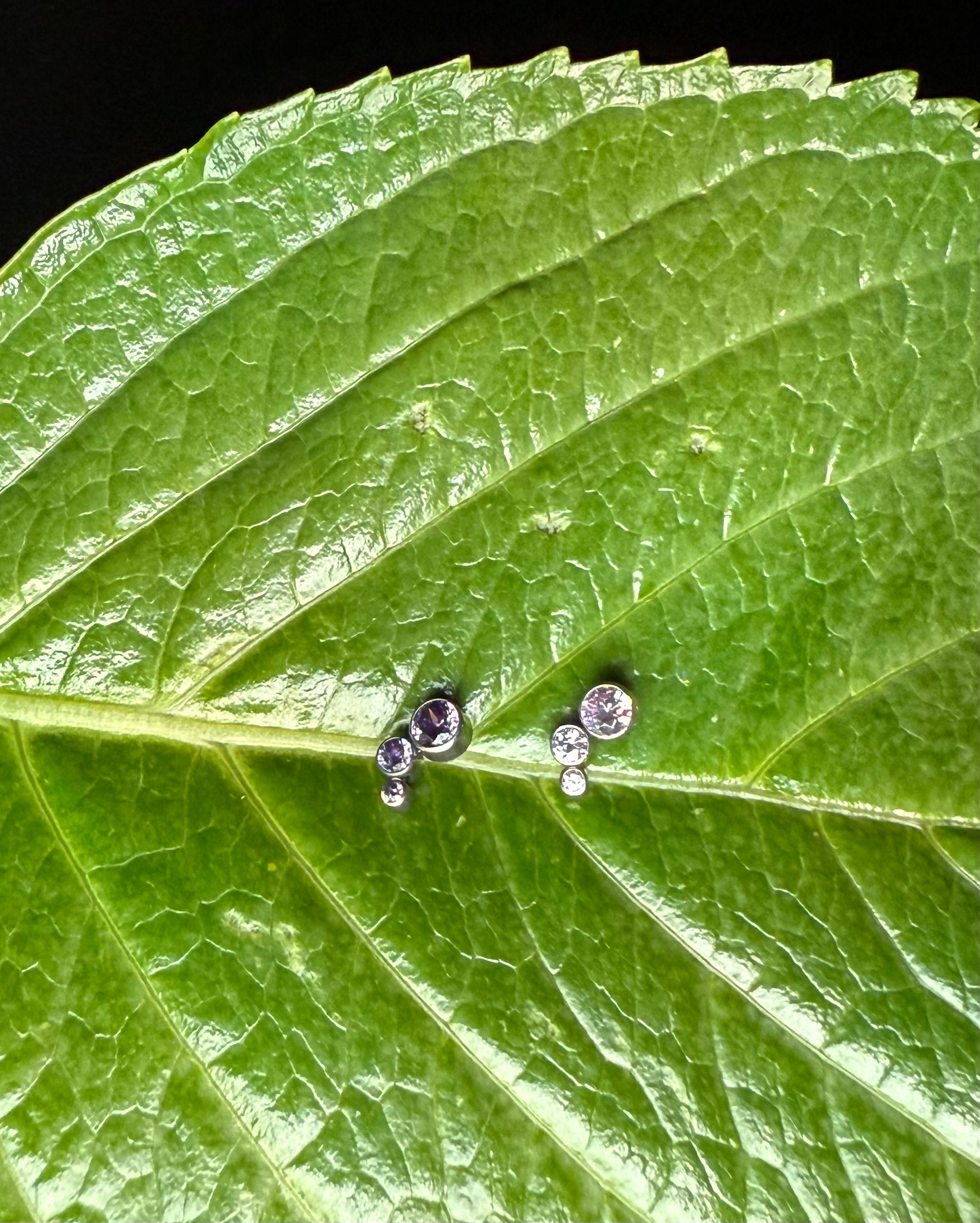 Joyería piercing P37